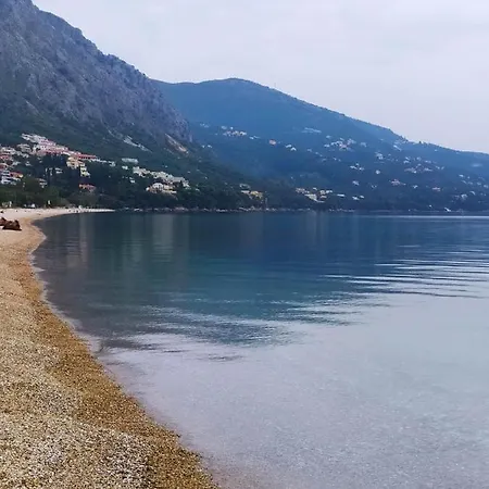 Fiorentina Μπαρμπάτι